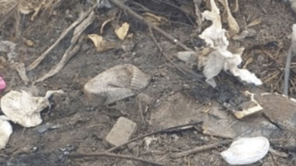 El macabro hallazgo tuvo lugar en un basural de Añatuya.