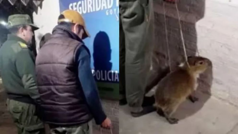 El hombre y el carpincho fueron puestos contra la pared, tal como indica el procedimiento policial.