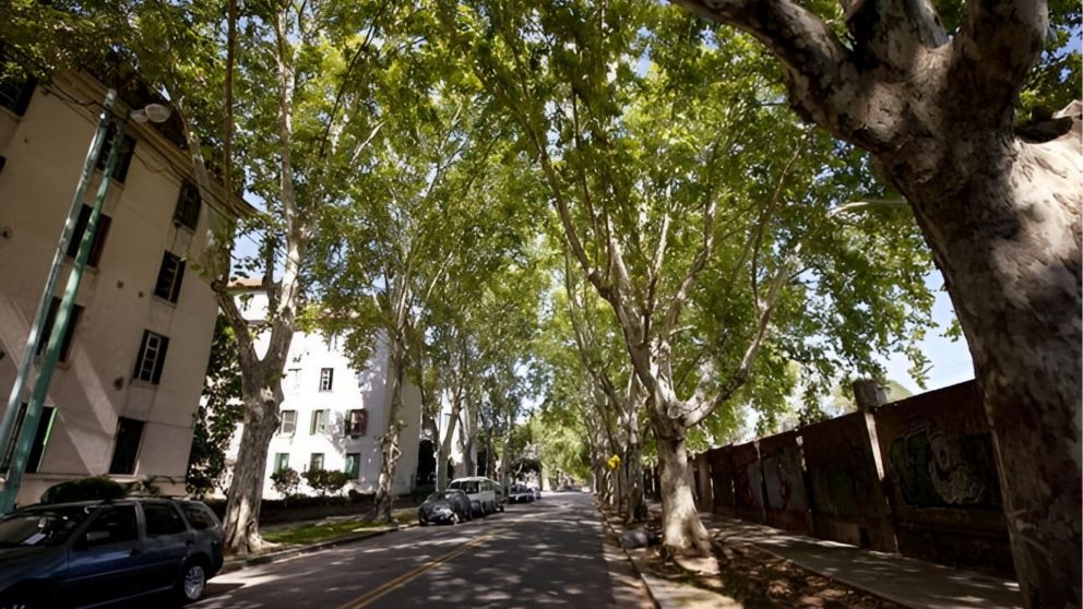 Agronom�a ofrece opciones de alquiler desde $400.000 en un entorno tranquilo, con calles arboladas, espacios verdes y conexi�n r�pida con la Ciudad (Imagen ilustrativa).