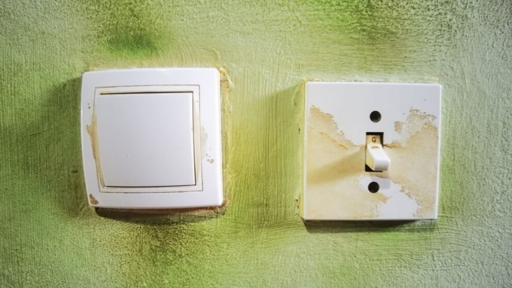 El truco definitivo para dejar impecable los interruptores de luz del hogar.