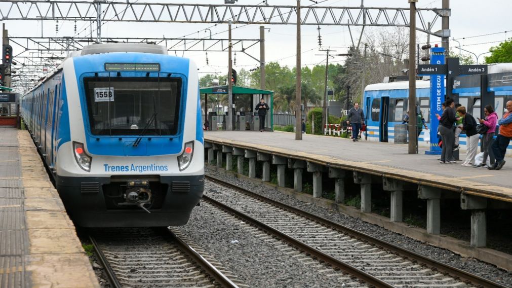 Tren Roca: demoras por un accidente a la altura de Avellaneda