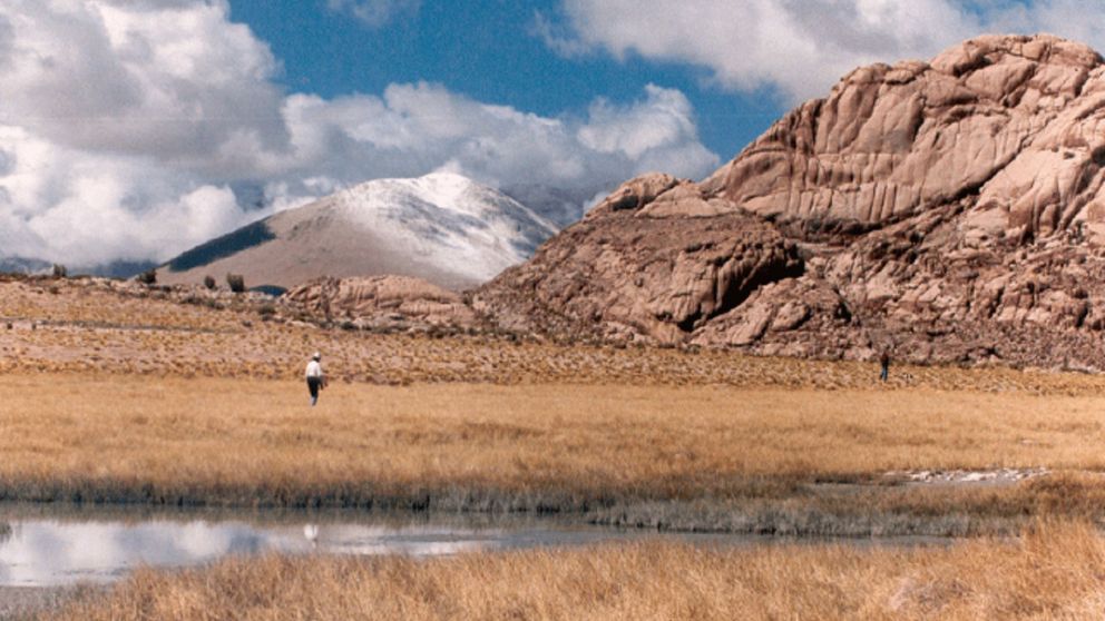 Altiplanos, guanacos y silencio absoluto: una postal típica de este parque escondido en el corazón de Cuyo.