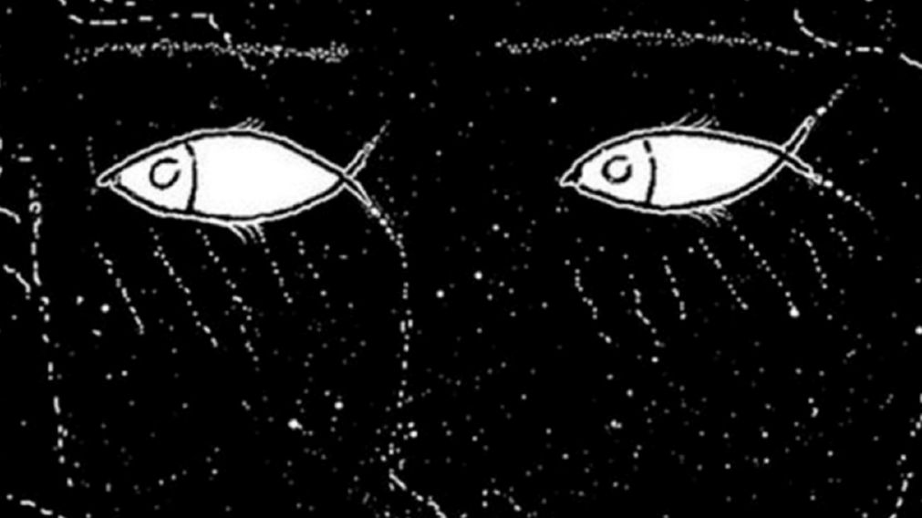 ¿Ves peces o un rostro? Animate a descubrir tu verdadera personalidad con este sencillo test.