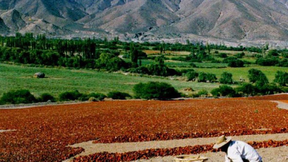 En un paisaje que combina saber ancestral y belleza natural, un pueblo desconocido para conocer en las vacaciones de invierno.