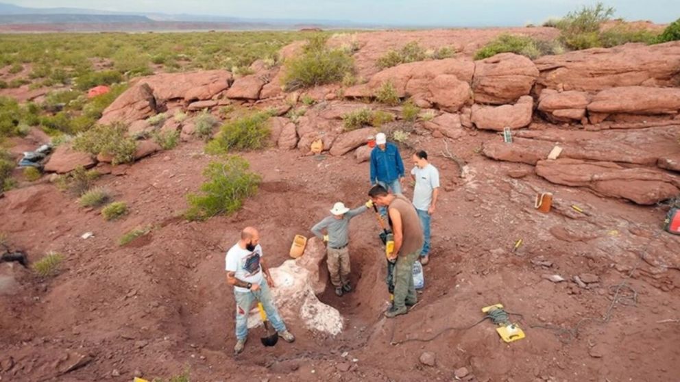 La especie de dinosaurio fue hallada en la provincia de Neuqu�n (CONICET).