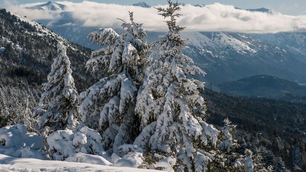 El solsticio de invierno es un fenómeno climático (Imagen ilustrativa).