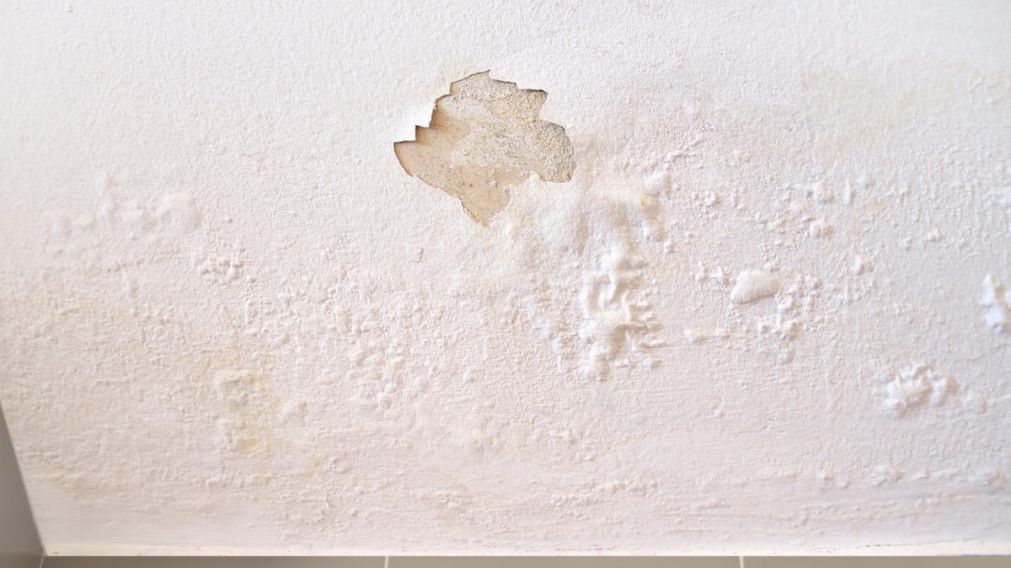 ¿Tenés manchas blancas en la pared? No es humedad ni pintura vieja: descubrí qué las causa y cómo eliminarlas definitivamente