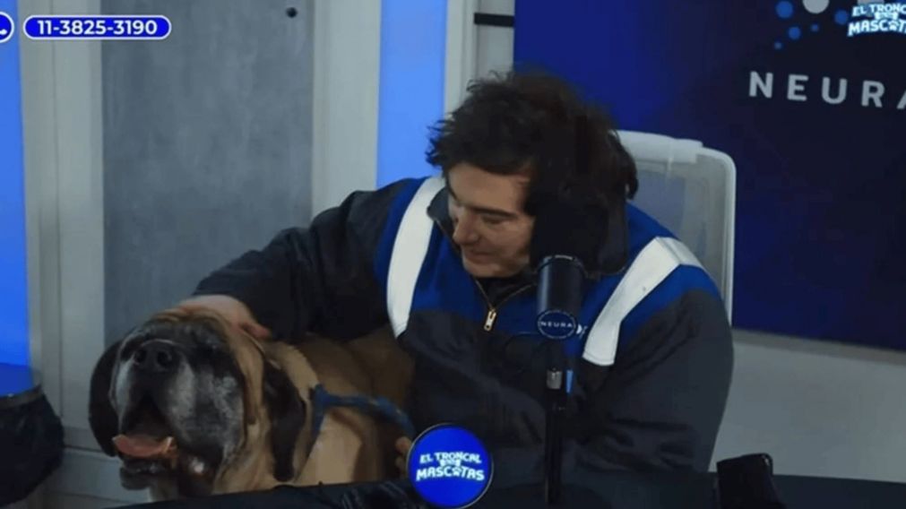 As� Javier Milei apareci� con su perro Conan en un streaming solidario