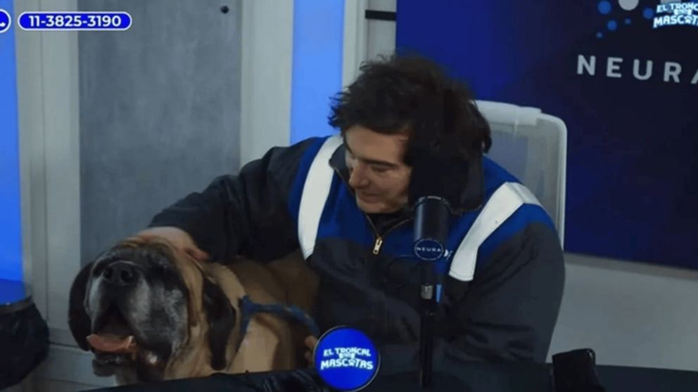 Así Javier Milei apareció con su perro Conan en un streaming solidario