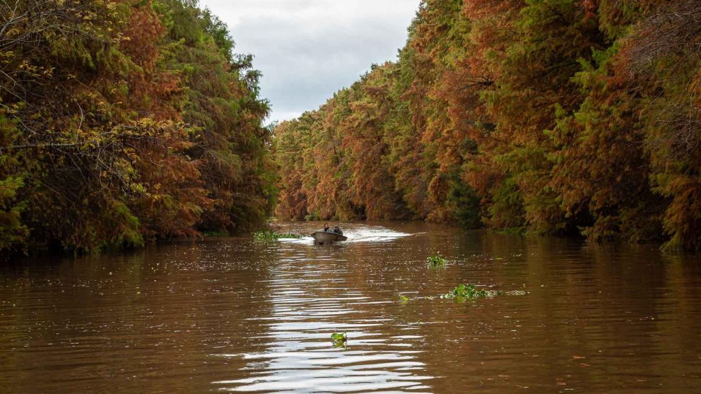 El homicidio del pescador se produjo en las costas del río Paraná.