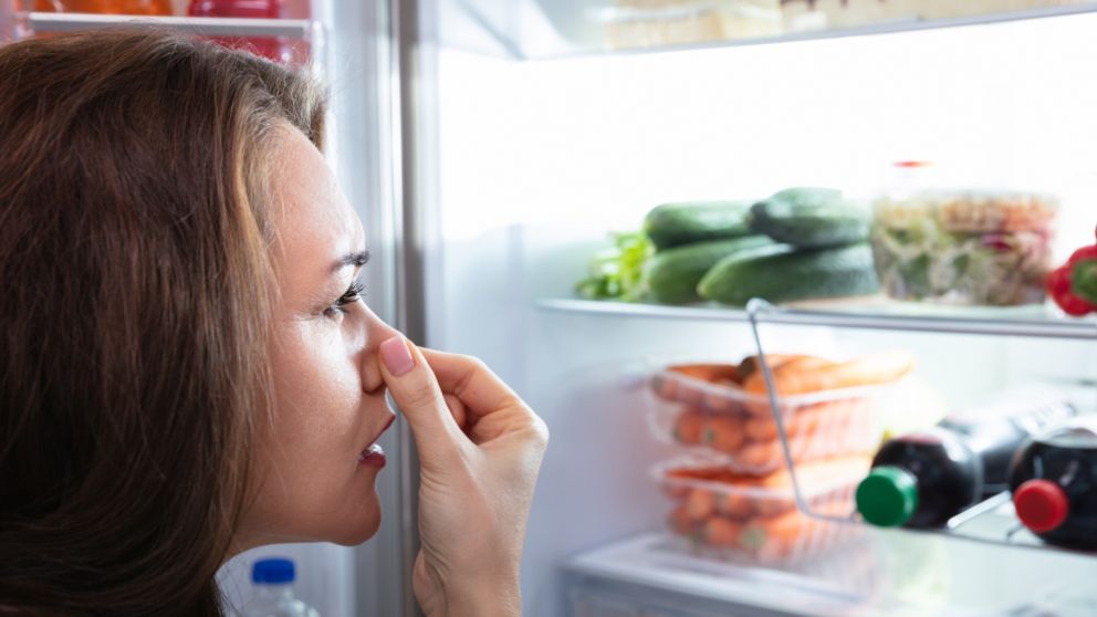¿Como hacer el truco casero de la esponja húmeda en el freezer?.