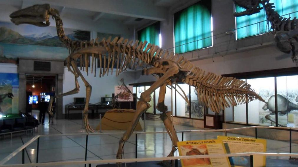Museo de Ciencias Naturales Bernardino Rivadavia (Imagen ilustrativa).