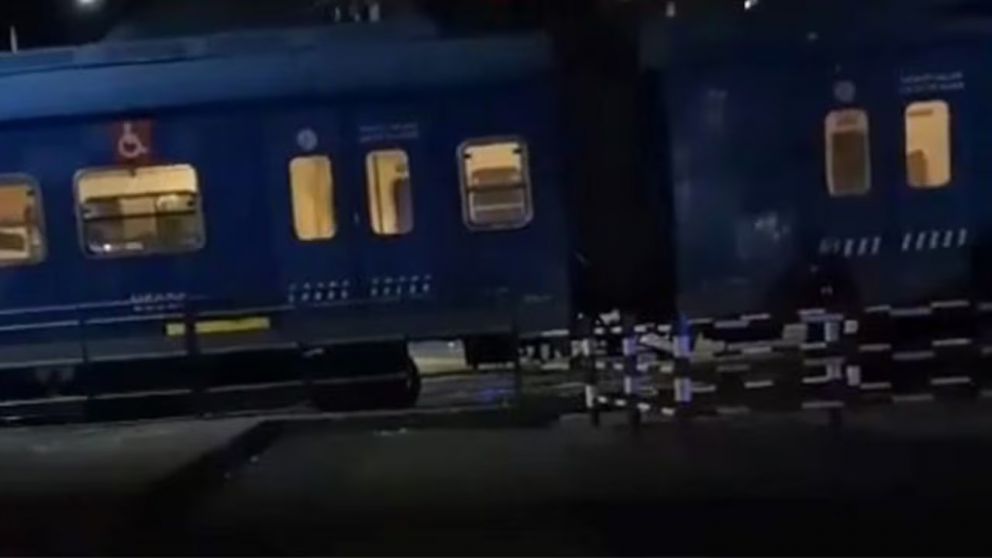 Una formación del tren San Martín arrolló y mató a dos jóvenes en Villa del Parque.