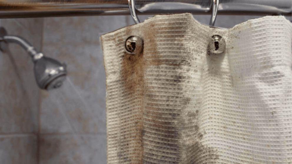 Un método simple con ingredientes caseros que elimina el moho y deja la cortina limpia, sin malos olores y como nueva (Imagen ilustrativa).