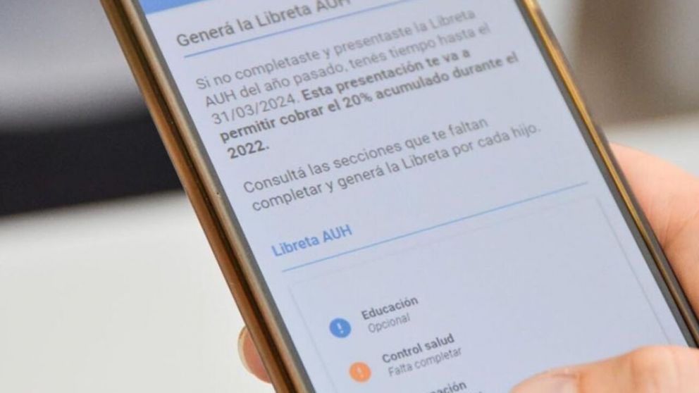 Anses pidió realizar un trámite obligatorio para cobrar la Libreta AUH 2025 (Imagen ilustrativa).