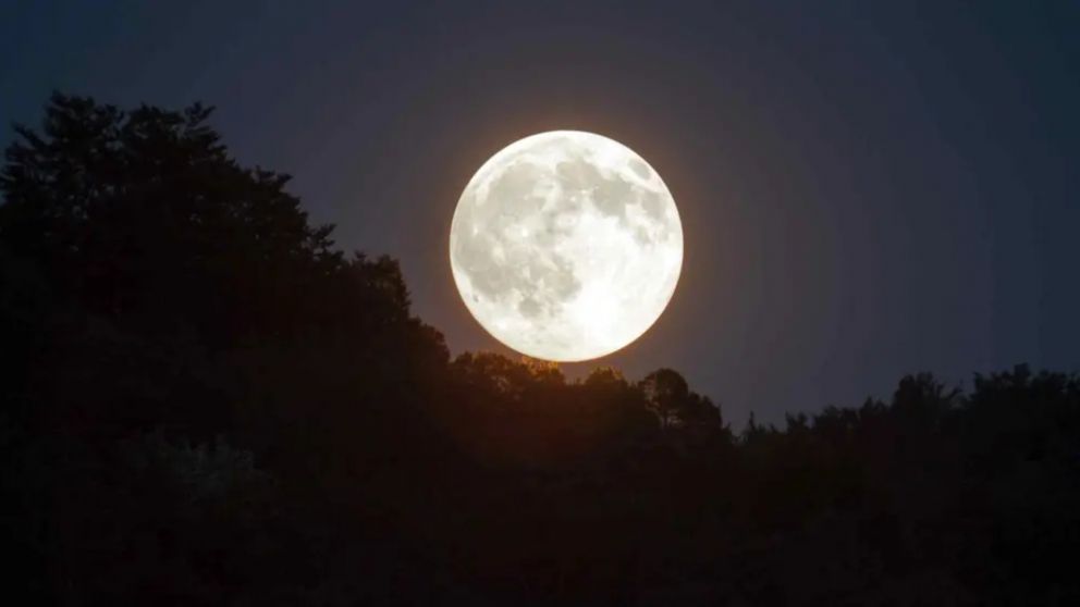 Microluna: ¿Qué es y por qué podrá observarse durante la próxima Luna llena?