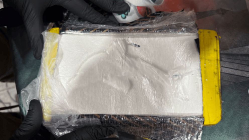 La marca del delfín, el sello narco del capo "Patrón del norte".