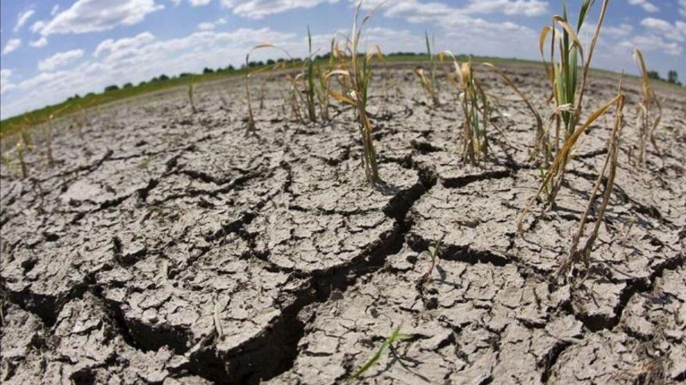 El cambio climático provoca sequía y desertificación (Imagen ilustrativa).