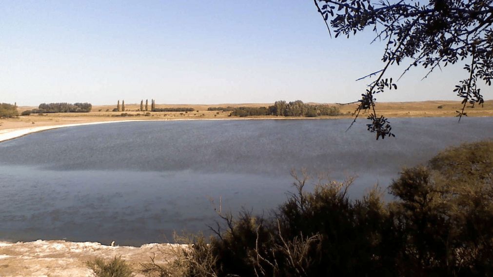 Ni Chascomús ni Lobos: la laguna poco conocida cerca de CABA que es un refugio de paz para reconectar con la naturaleza