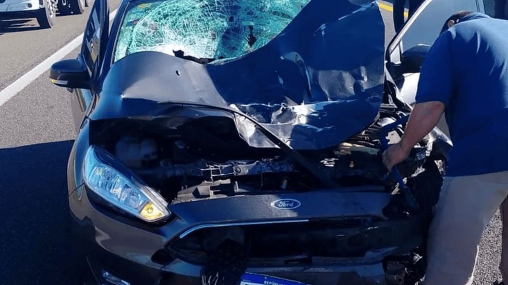 As� qued� el auto tras impactar con un caballo en la autopista.