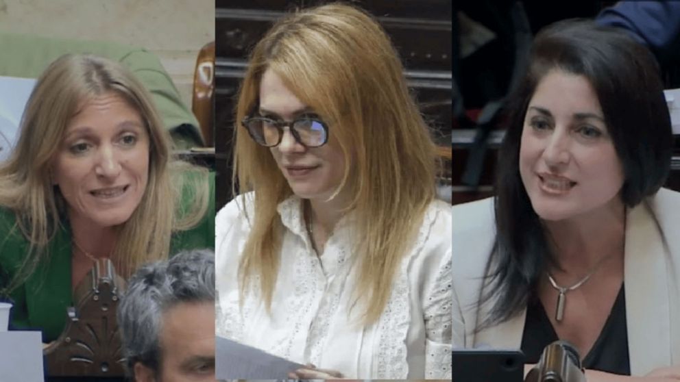 La diputada Carignano