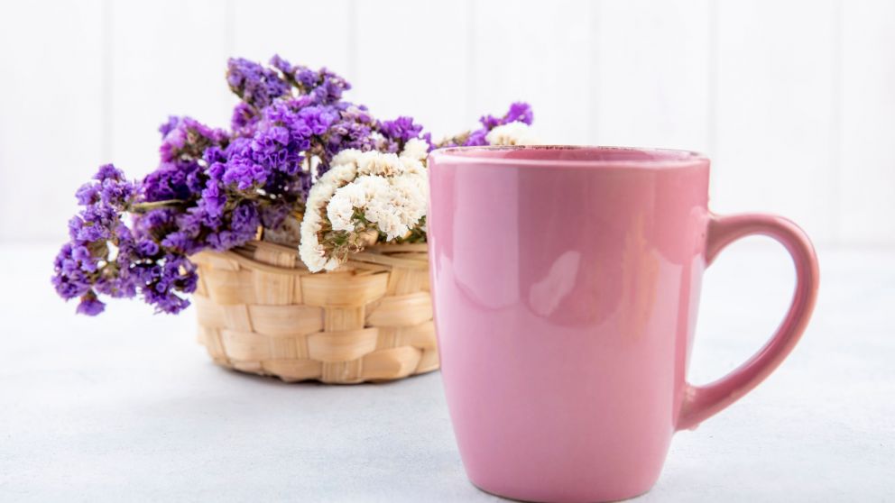 Truco infalible para convertir una taza rota en un hermoso objeto de decoración para la casa