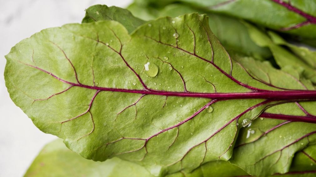 5 recetas con hojas de remolacha, una verdura que muchos tiran, es sabrosa y está llena de nutrientes (Freepik).