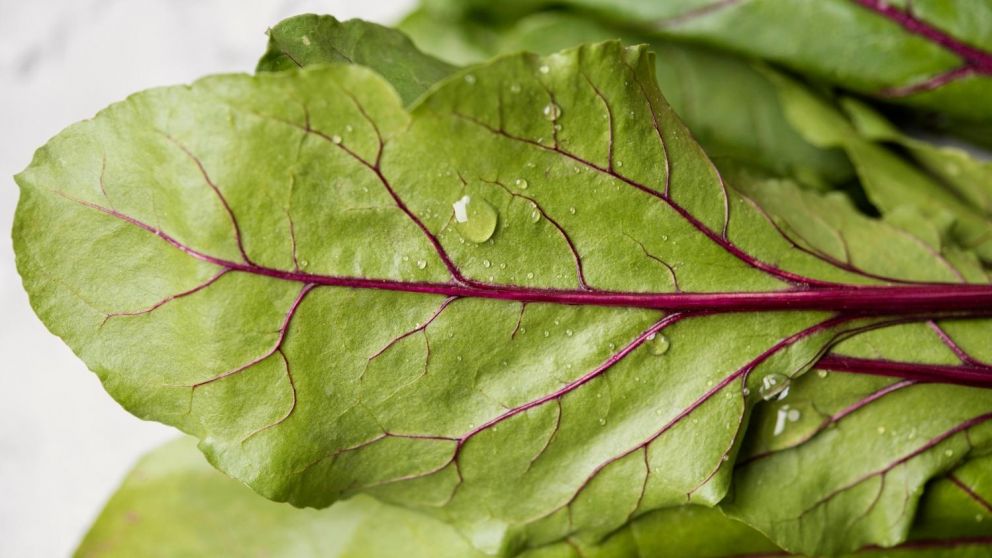 5 recetas con hojas de remolacha, una verdura que muchos tiran, es sabrosa y está llena de nutrientes (Freepik).