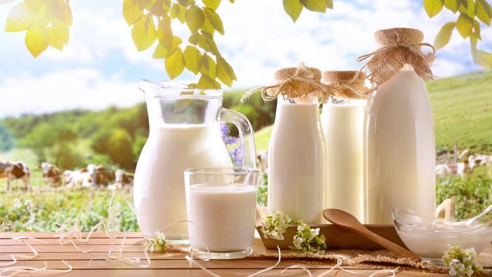 La leche es un alimento vital (Imagen ilustrativa).