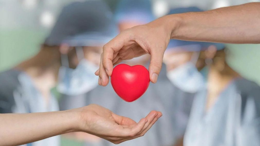 Donar órganos es donar vida (Imagen ilustrativa).