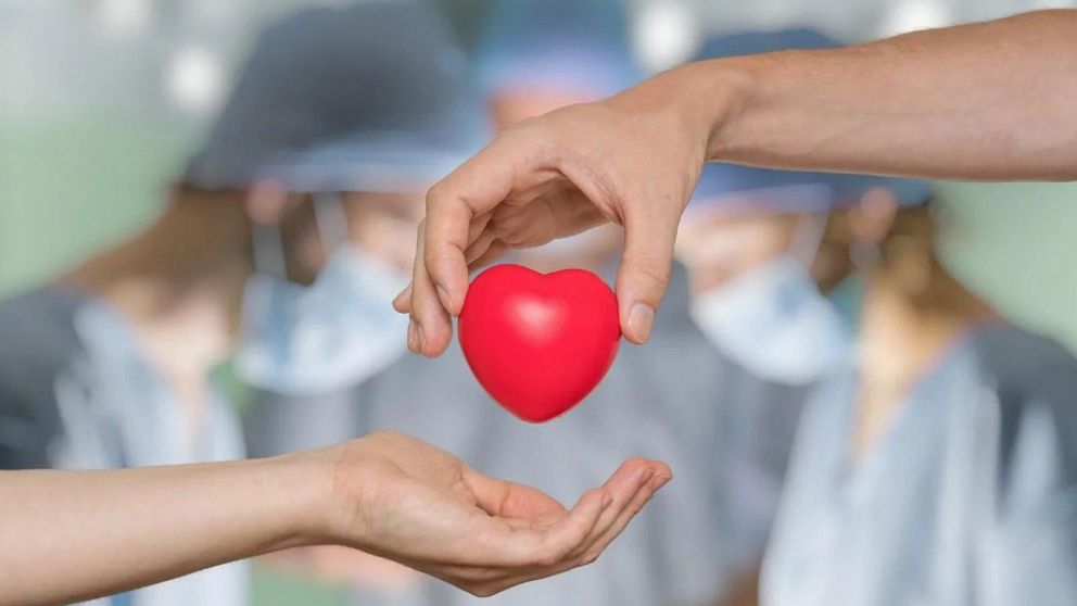 Donar �rganos es donar vida (Imagen ilustrativa).