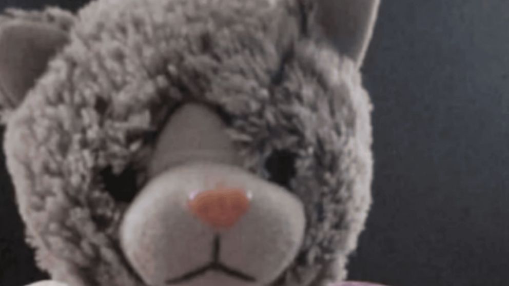 Piden recompensa para recuperar un oso de peluche.