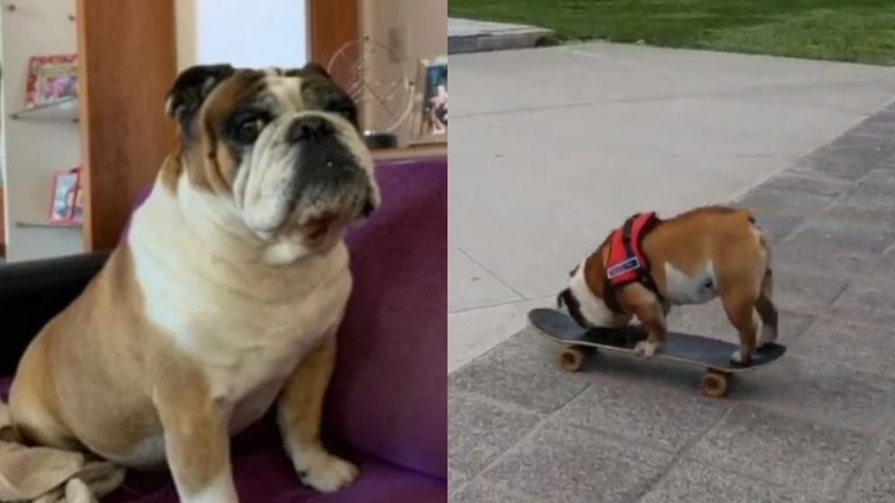 "Pocho" tenía 11 años y disfrutaba de andar en skate.