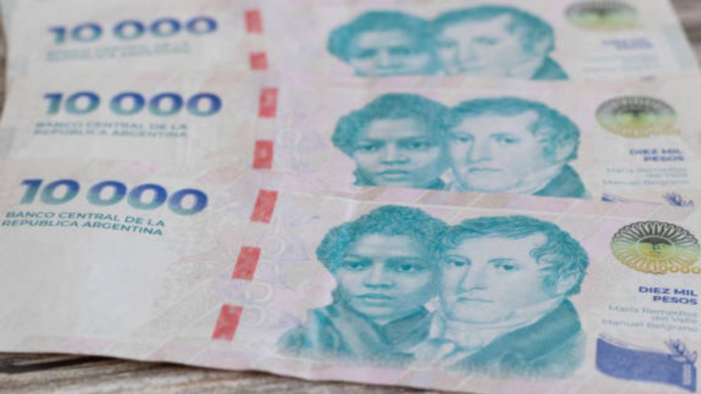 SUAF de la ANSES: los montos de cobro para enero 2026.