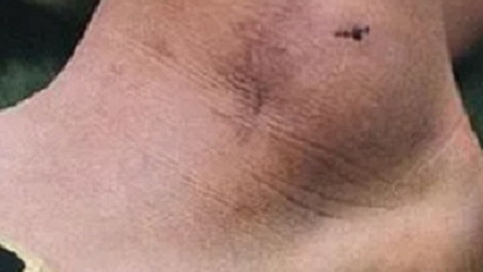 Messi NO PARA de sumar copas con la Selección Argentina