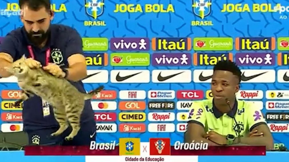 Brasil sufre por la "maldición del gato": cómo, cuándo surgió y de qué se trata