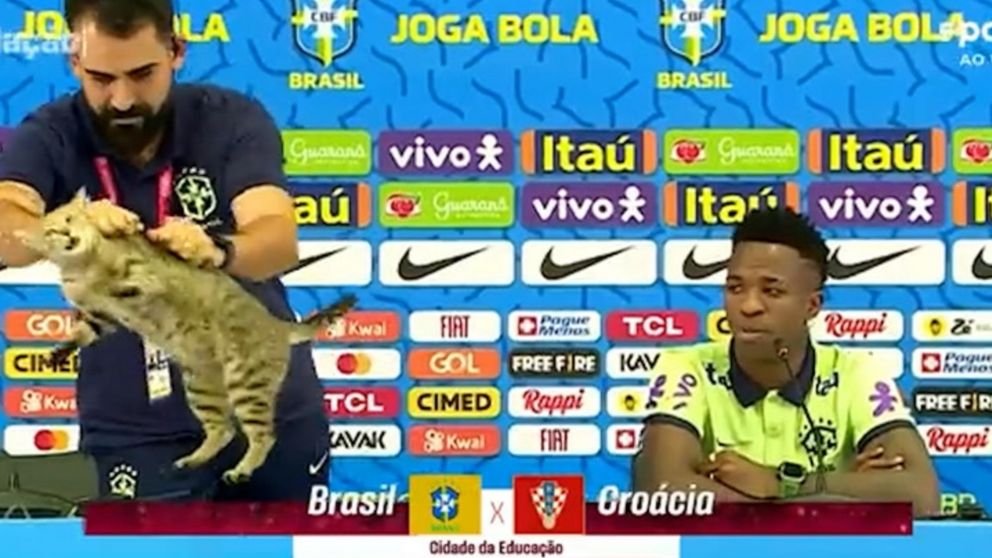 Brasil sufre por la "maldición del gato": cómo, cuándo surgió y de qué se trata
