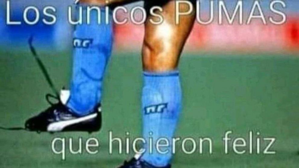 Los Pumas fueron vapuleados por los All Blacks y los memes fueron una explosión