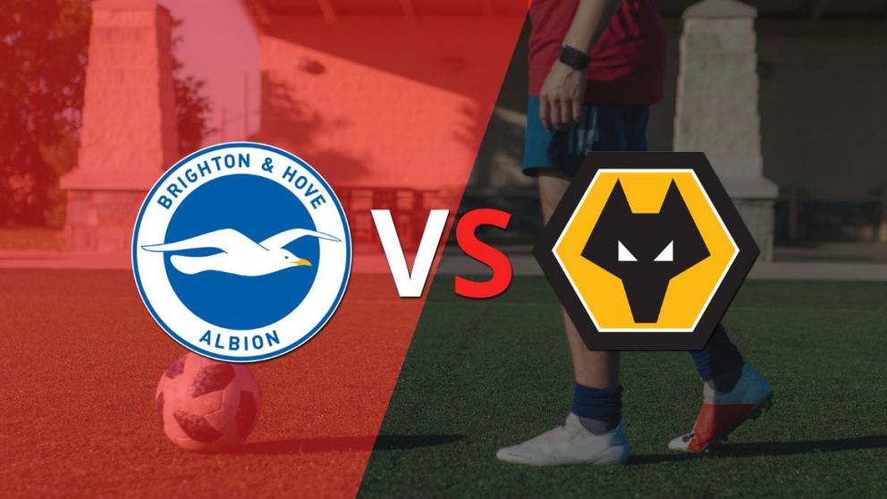 Empieza el partido entre Brighton and Hove y Wolverhampton