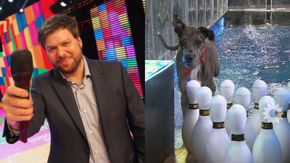 Guido Kaczka vuelve con su programa de los perros en El Trece: cuándo estrena y qué trae de nuevo.