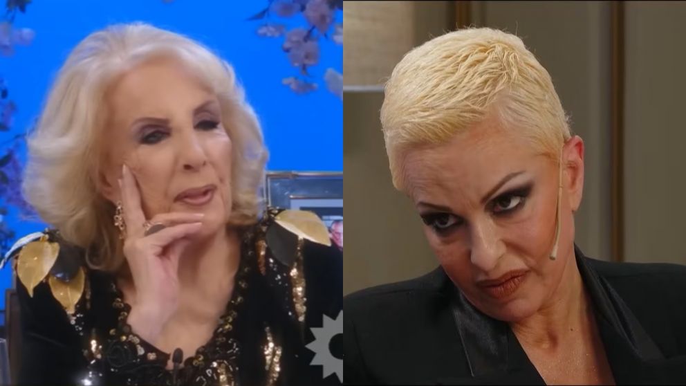 Daniela Cardone reveló que hará con sus gatos embalsamados: "Para que descansen definitivamente en paz..."
