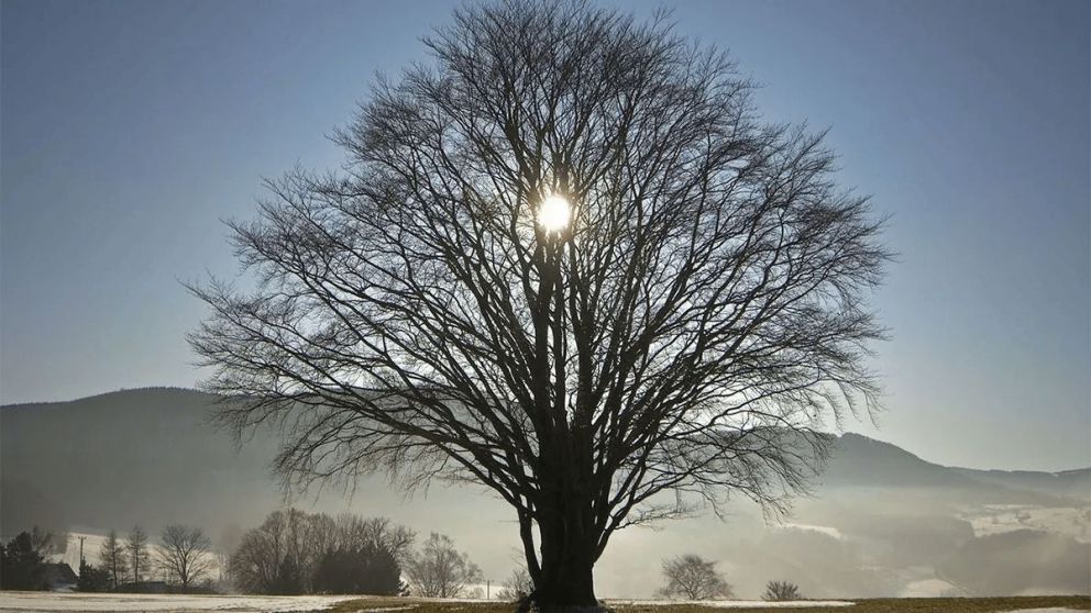 Solsticio de invierno.