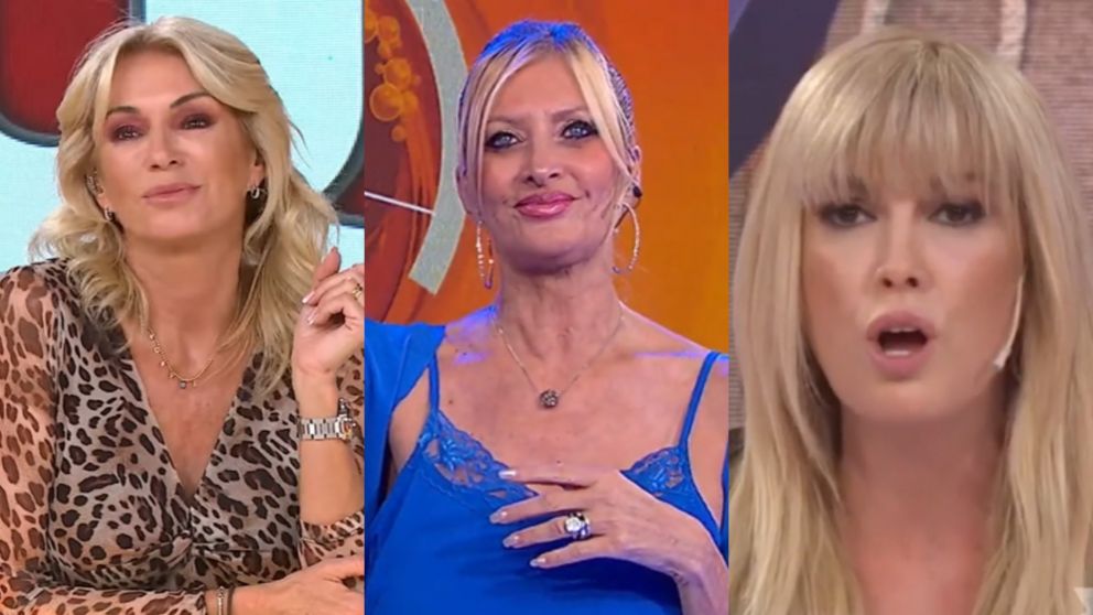 Yanina Latorre y Viviana Canosa se burlaron de Yuyito González y su bufete de abogados: "Si vamos presas..." (Foto web).