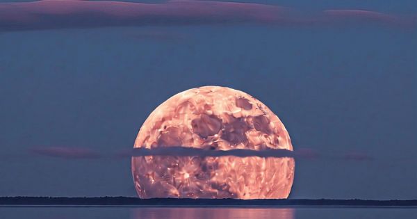 Horóscopo: qué es la Luna Rosa y cómo influirá la en cada signo, una ...