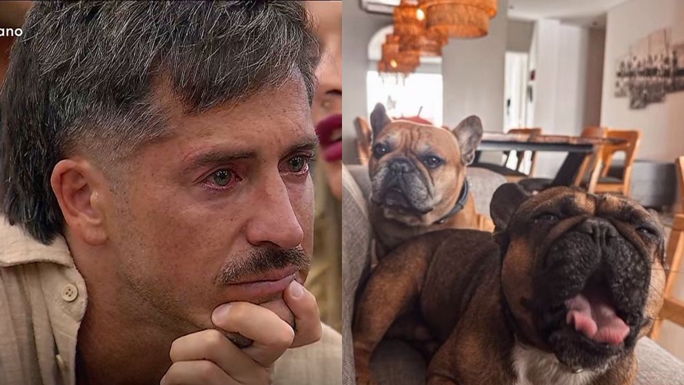 Juan Pablo recibi� el saludo de sus perros en "Gran Hermano 2025" (Foto Telefe).
