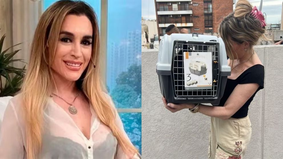 La emoción de Fátima Florez cuando los bomberos rescataron a su gatito.