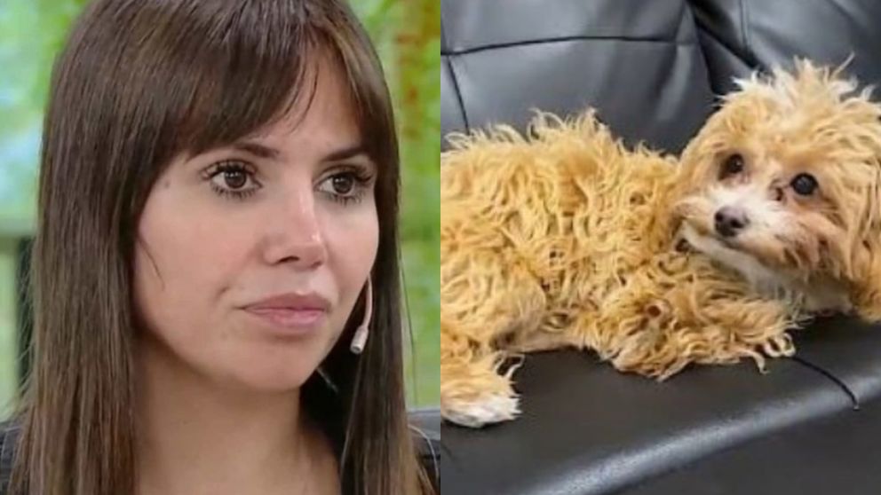 Romina Uhrig descuidó a Caramelo, el perro que adoptó en "Gran Hermano", fue repudiada en redes y estalló de furia.