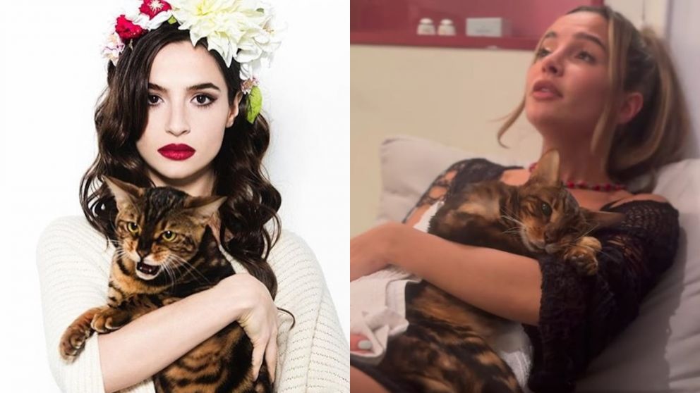 Brenda Asnicar comparti� el peculiar velorio que le hizo a su gato, Bandido.