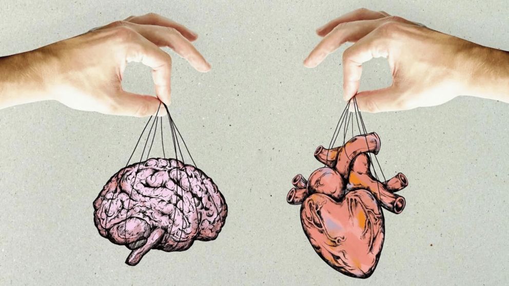 Horóscopo: estos son los 5 signos del zodíaco que siempre se rigen por la mente y no por su corazón.