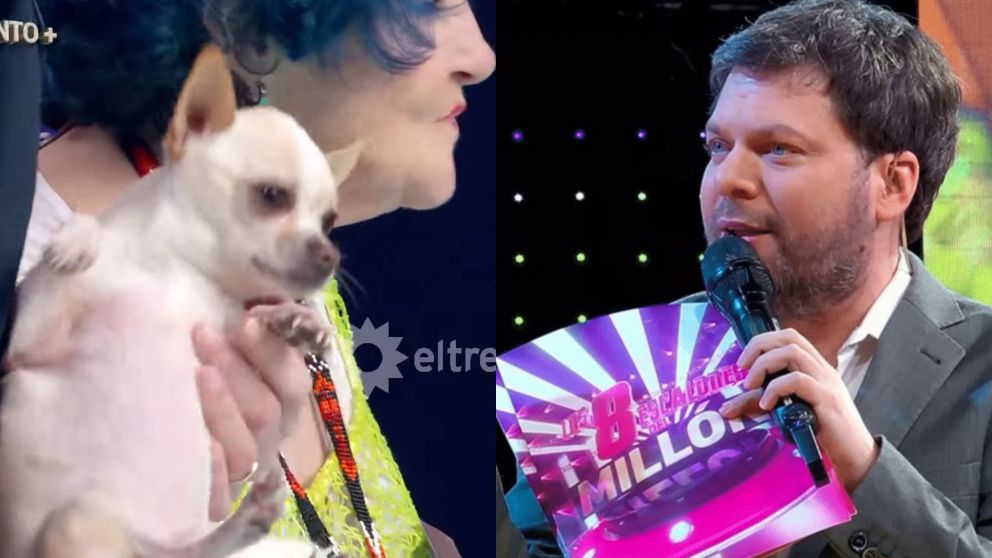 Un jugador sorprendió al traer a su perro a "Los 8 escalones".